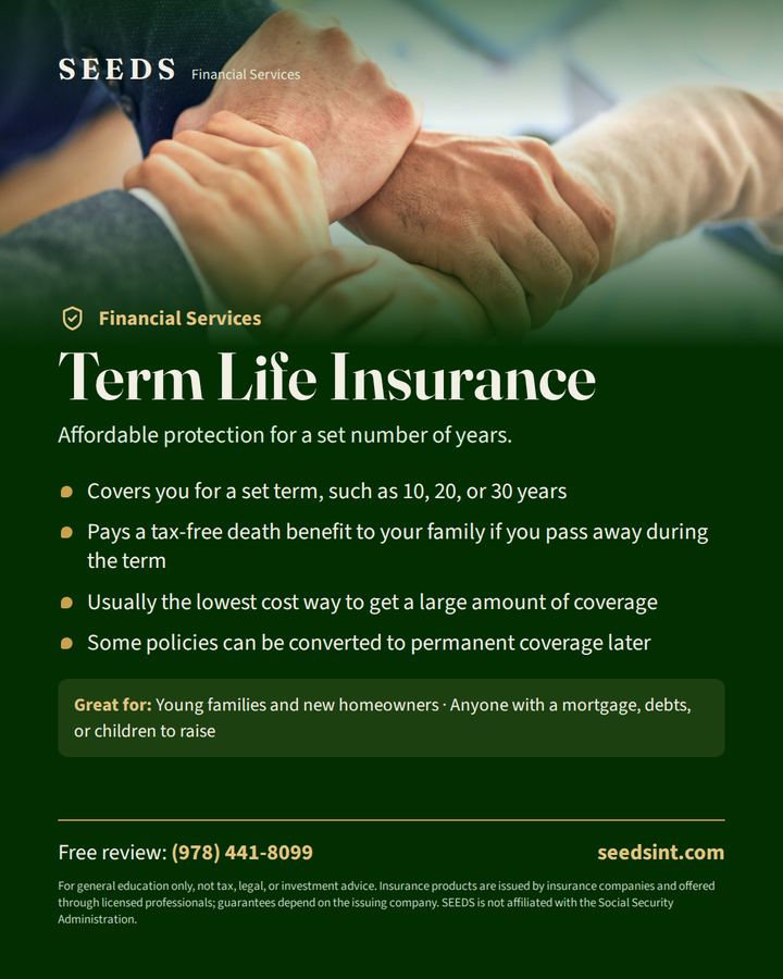 Term Life Insurance flyer